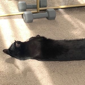 Meet your Posher, Clara